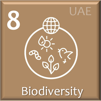 8 Biodiversität