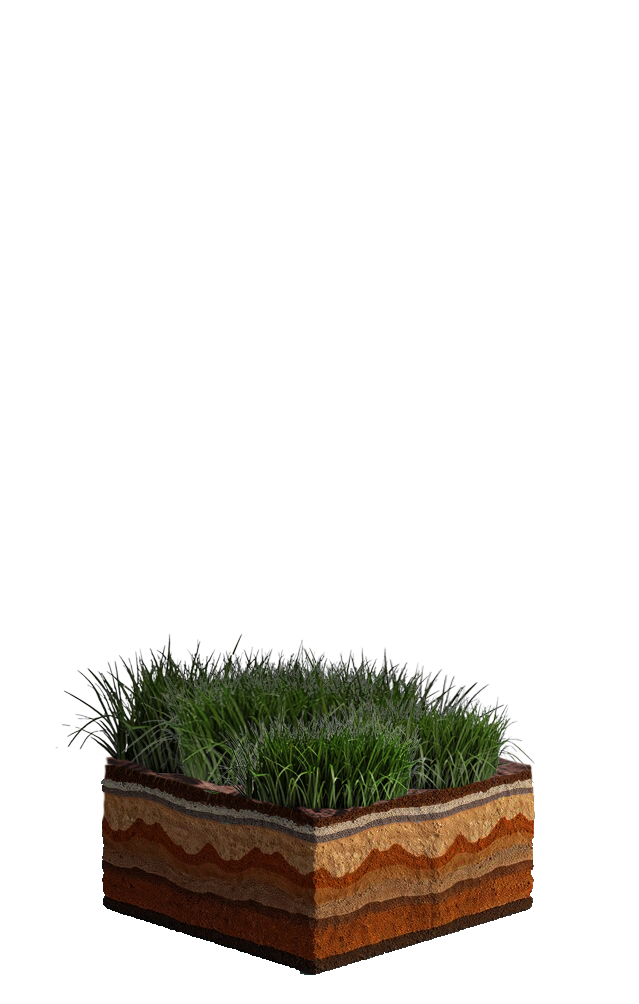 Gras_a